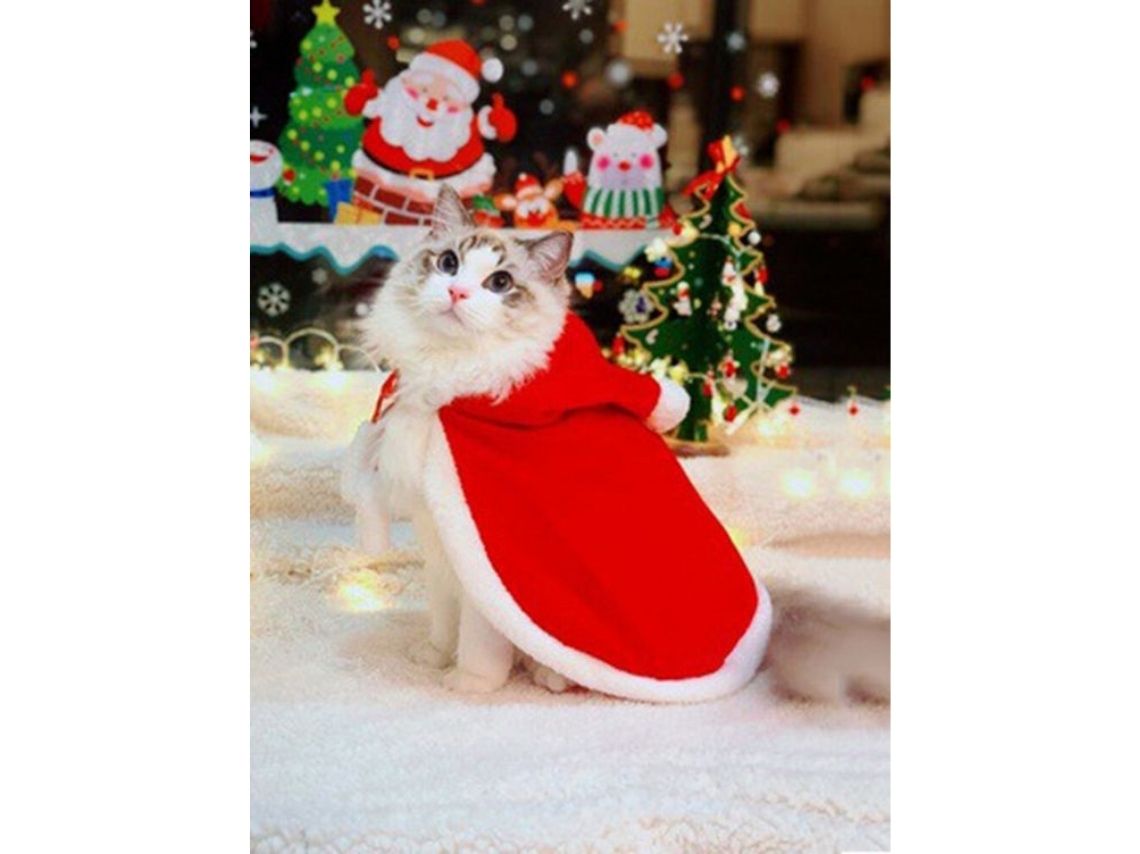 10 ideas creativas para disfrazar a tus gatos esta Navidad