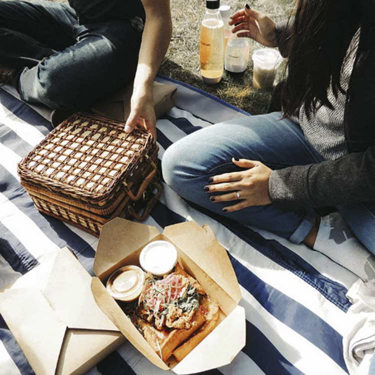 Despídete del año en un picnic con tus amigos ¡conoce 3 opciones!
