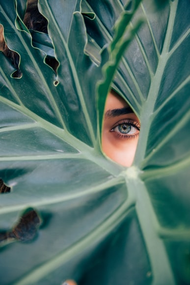 Descubre los lugares de origen de los ingredientes naturales que mejor cuidan la piel 0
