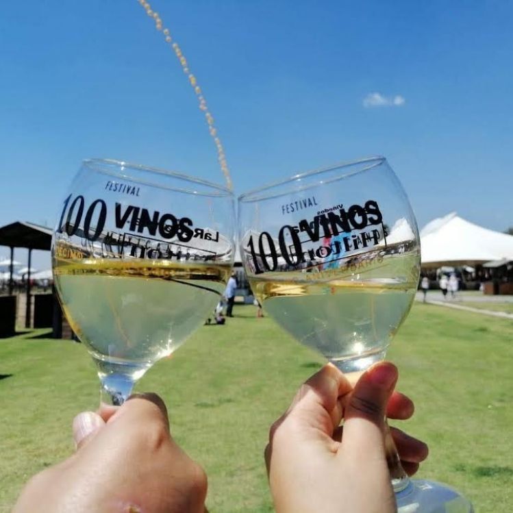 5 Razones para ir al festival de 100 vinos mexicanos