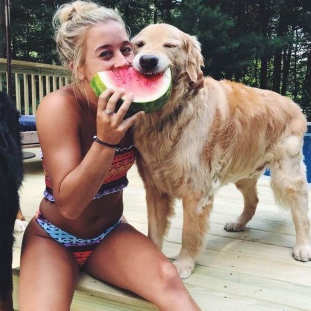 foto-de-perrito-comiendo-sandia