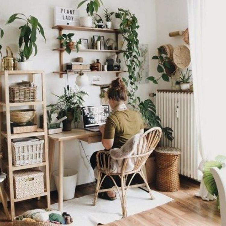 10 ideas para decorar con plantas para que tu casa esté más fresca