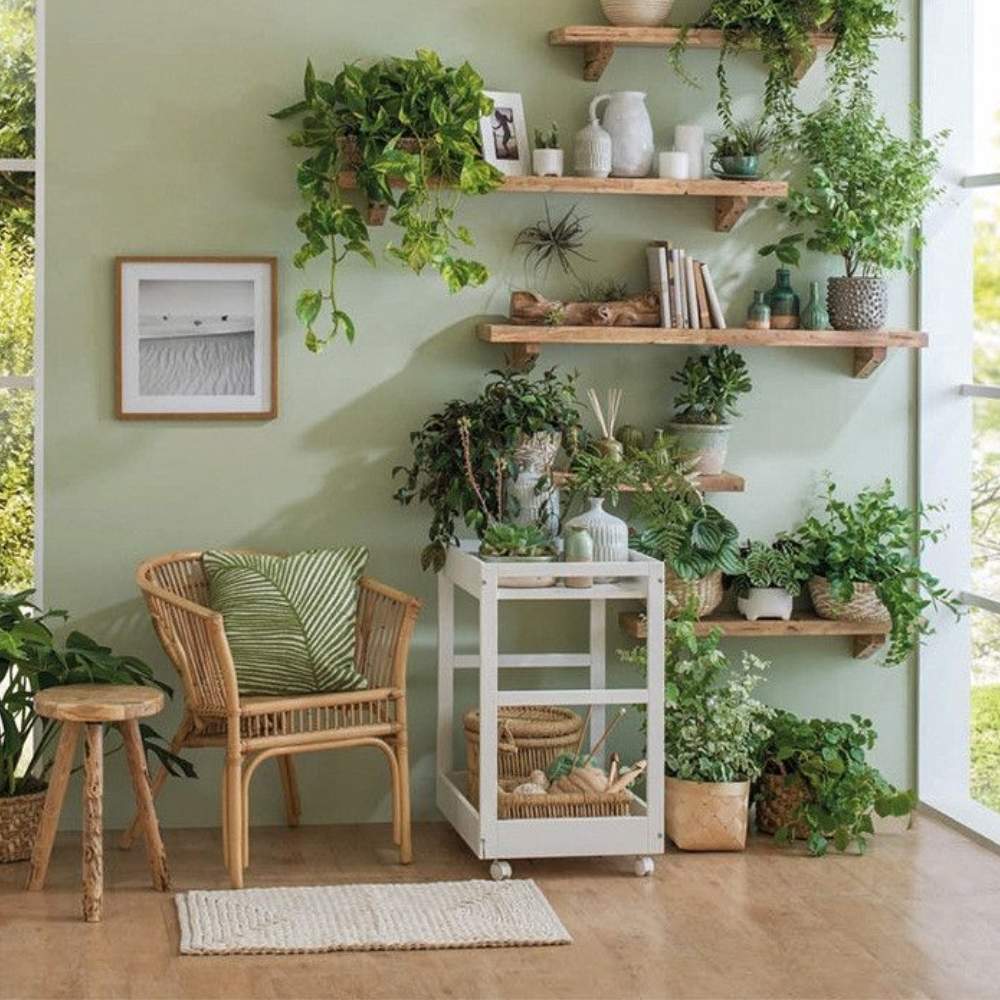 10 ideas para decorar con plantas para que tu casa esté más fresca