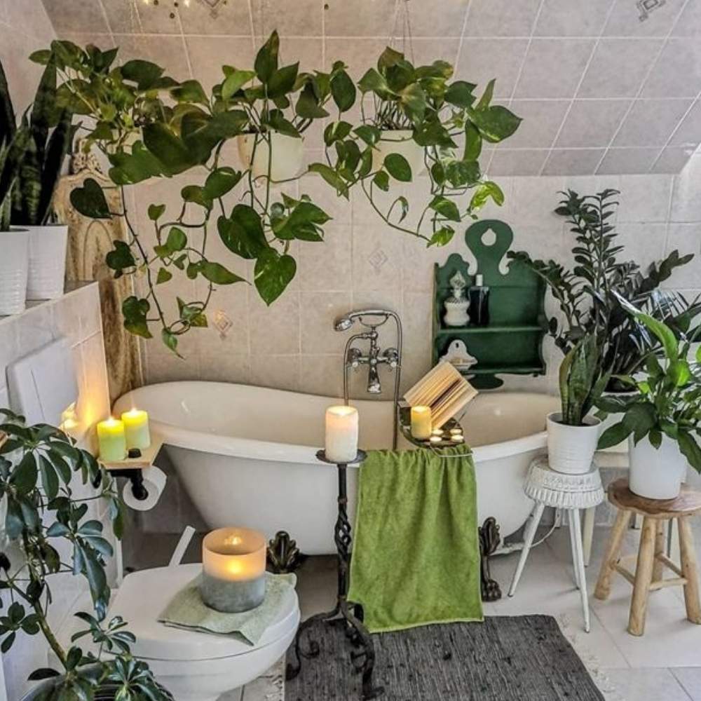 10 ideas para decorar con plantas para que tu casa esté más fresca