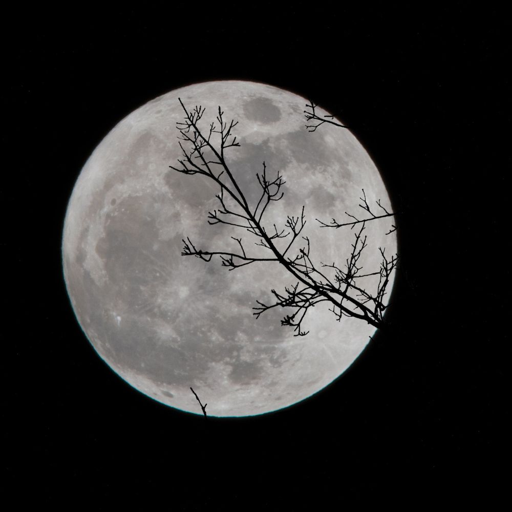 6 rituales para atraer salud, dinero y amor con la Luna Nueva en Leo