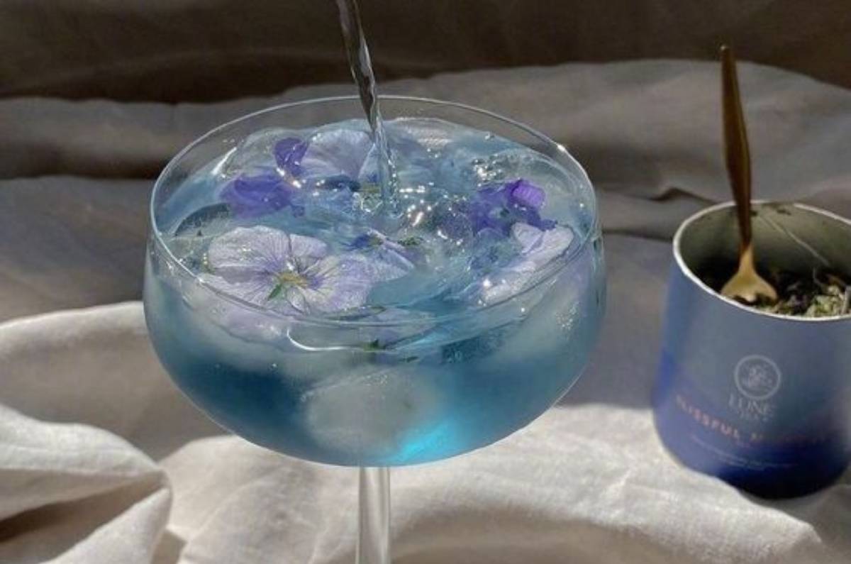 10 bebidas aesthetic que debes intentar con tus amigas