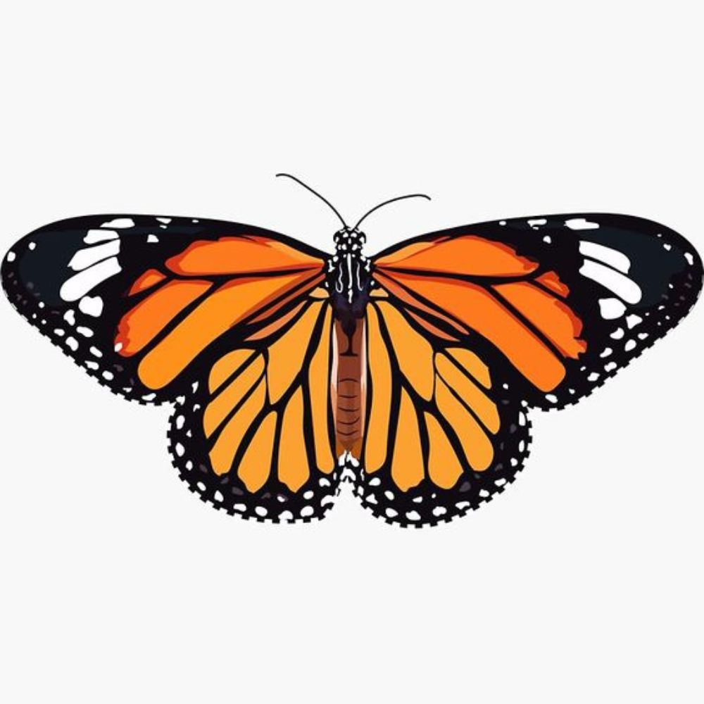 10 ideas de guirnaldas para fiestas patrias que puedes hacer tu misma- mariposa monarca 