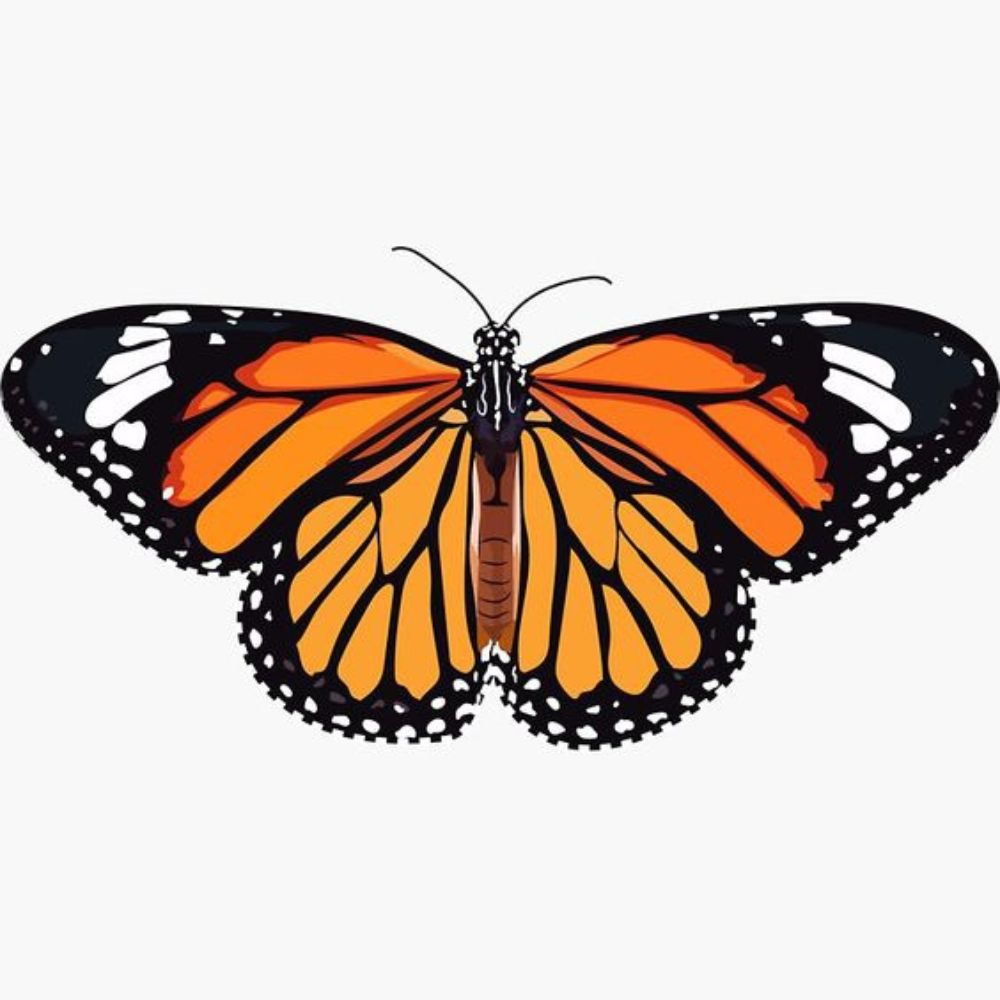 10 ideas de guirnaldas para fiestas patrias que puedes hacer tu misma- mariposa monarca