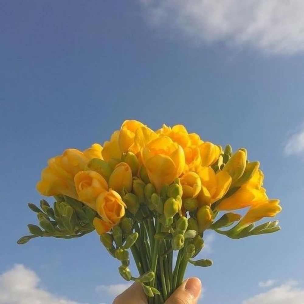 10 ideas de ramos de flores amarillas para que hagas tu trend de Tik Tok 0