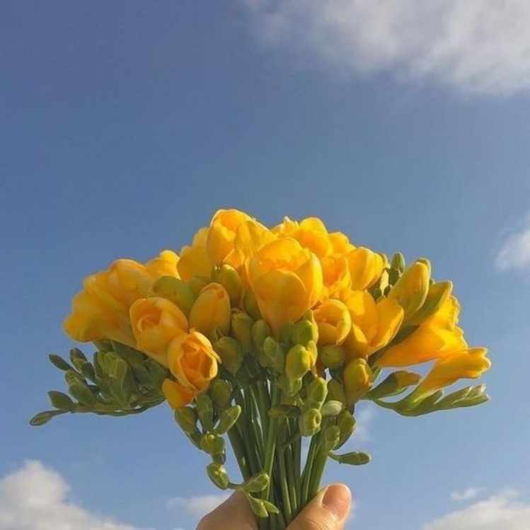 10 ideas de ramos de flores amarillas para que hagas tu trend de Tik Tok