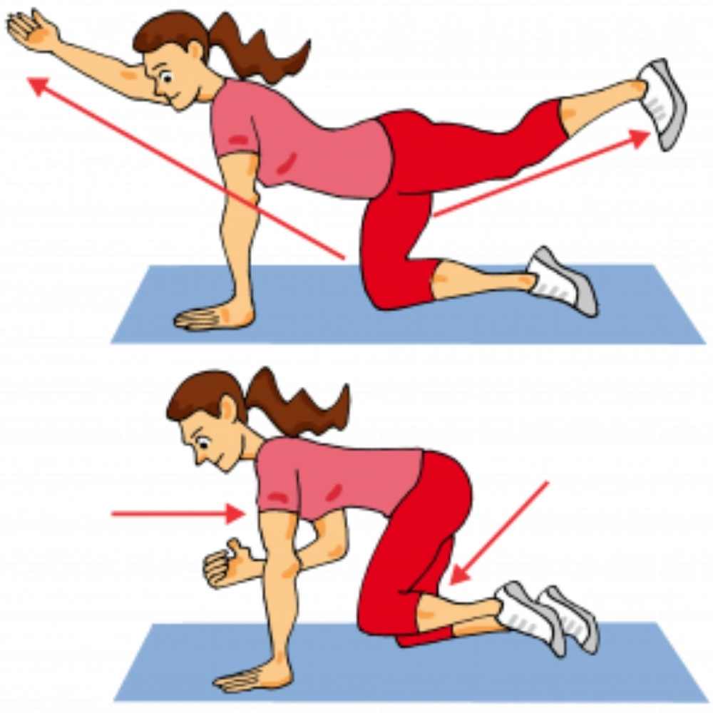 ejercicios-abdomen-plano