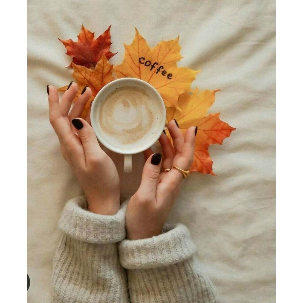 Toma fotos a las bebidas típicas de otoño Fotografía aerea de una chica sosteniendo una taza de capuchino