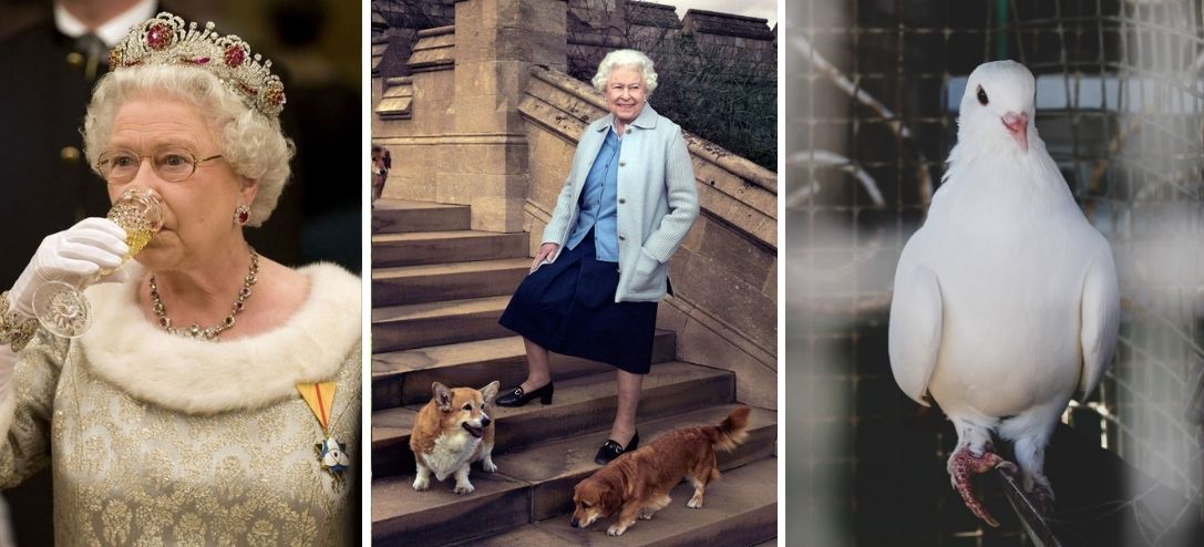 gustos-raros-y-excentricos-que-tenia-la-reina-isabel-ii