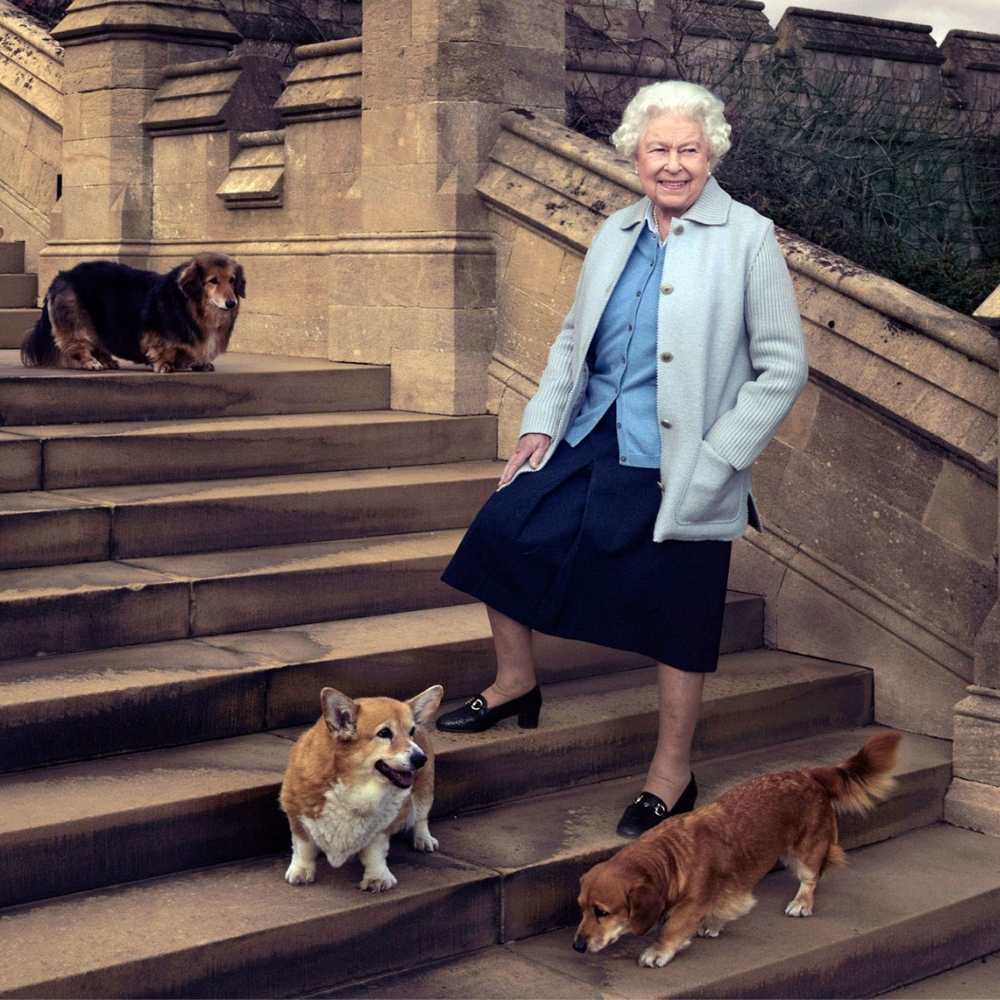 10 gustos raros y excéntricos que tenía la Reina Isabel como las carrera de palomas