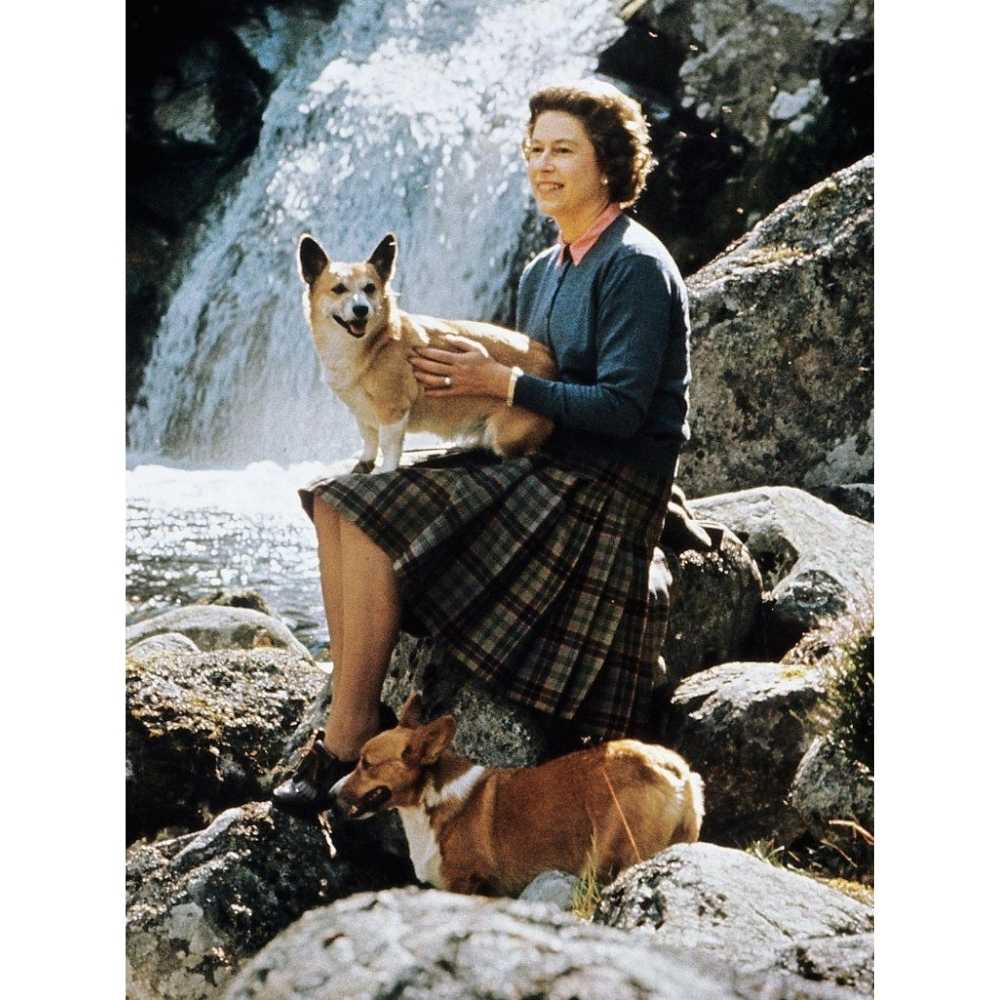 La reina dejó cuatro perritos que serán adoptados por su hijo Andrés Reina Isabel en un río sobre las piedras retratada con dos de sus corgis