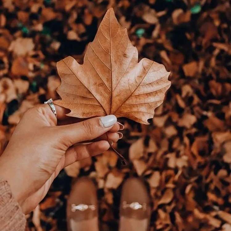 Fotografía de chica sosteniendo hojas en otoño