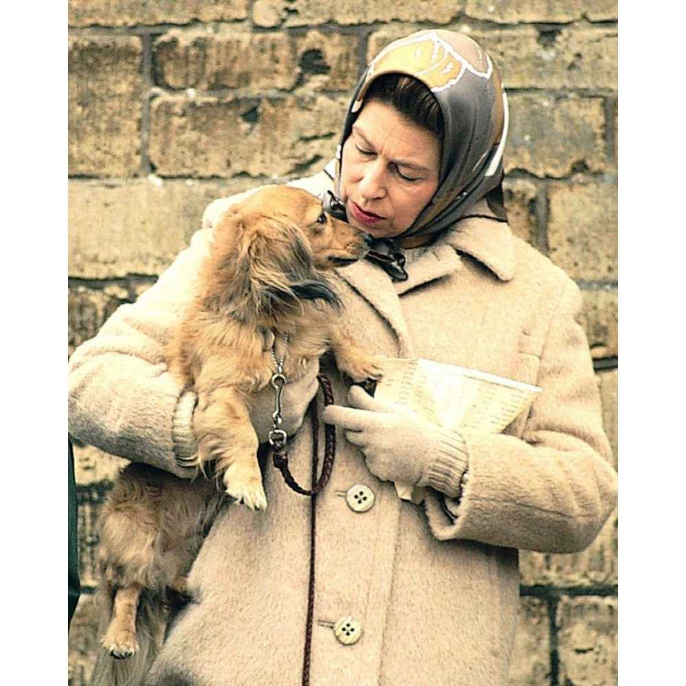 Reina Isabel cargando un perrito