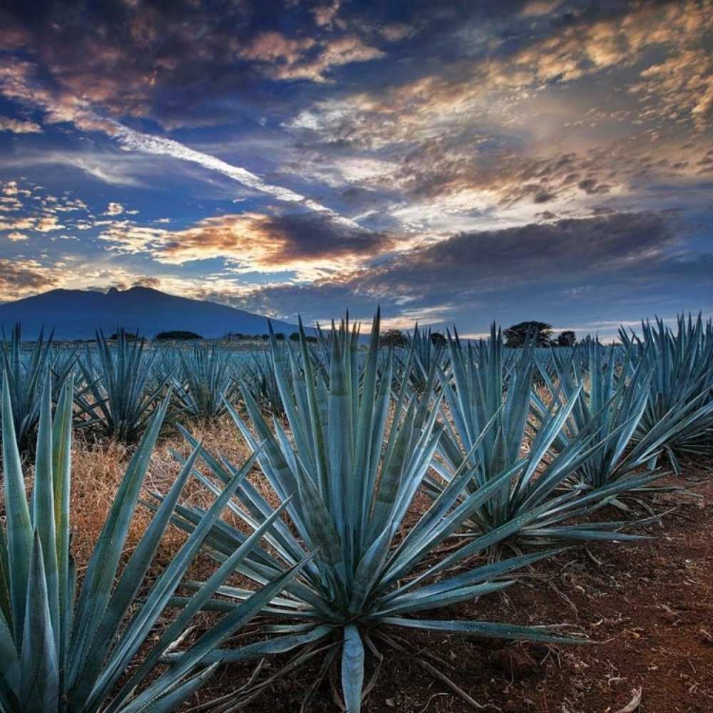 Foto: México desconocido