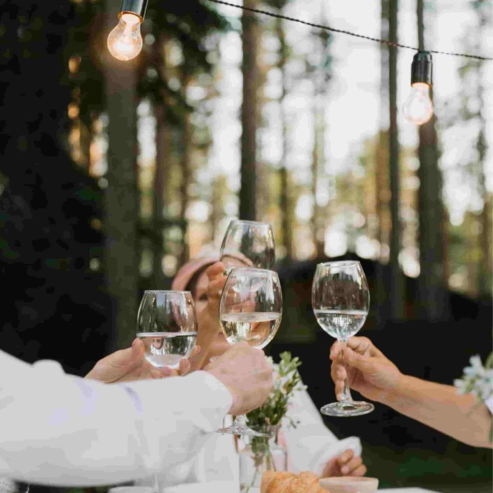 7 ideas de fiestas para tu despedida de soltera al aire libre- cata de vinos 