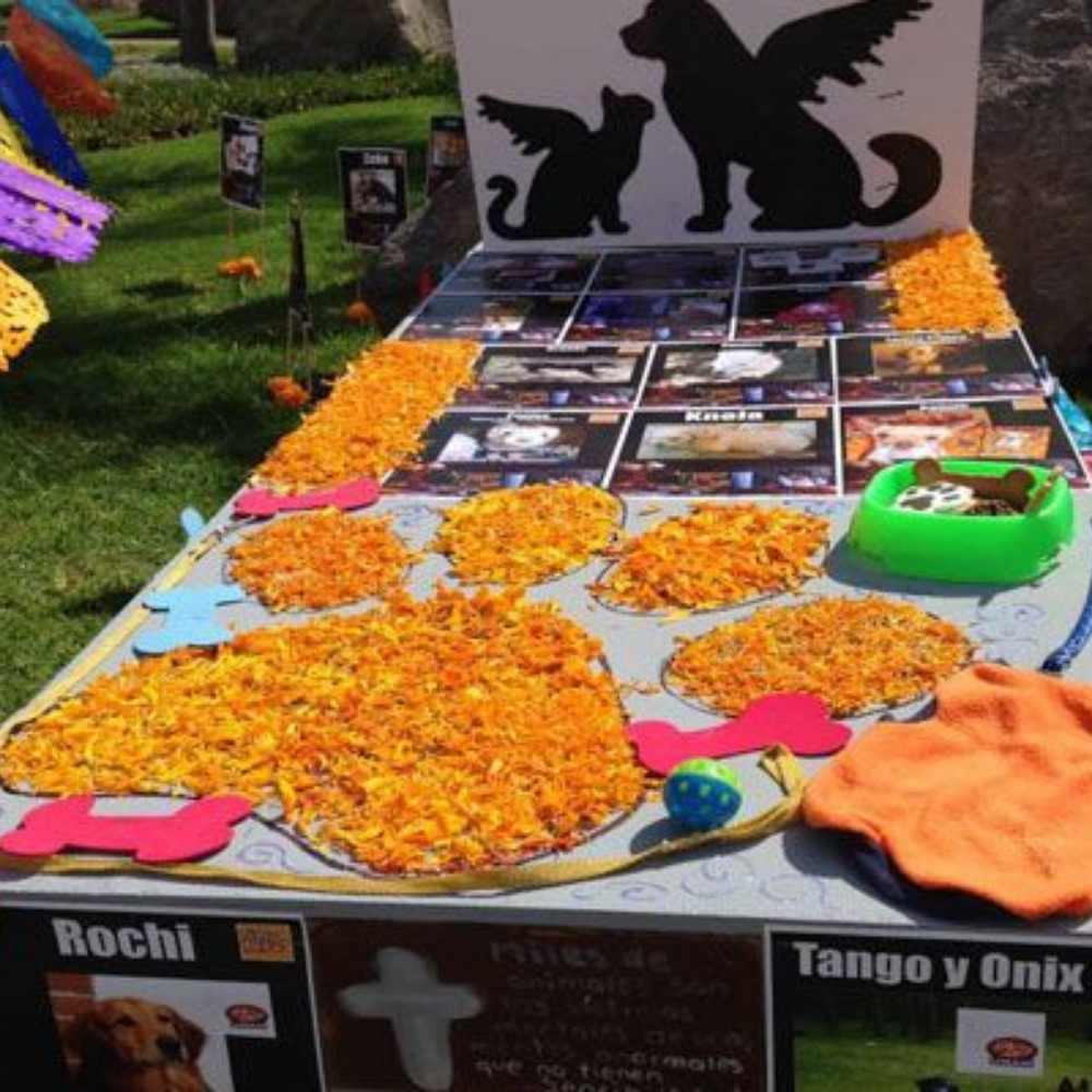 Ofrenda con tapete de flores