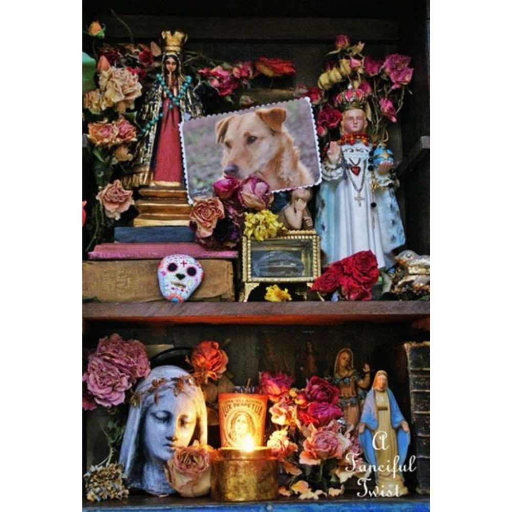 Altar con santos e imagenes religiosas para mascota