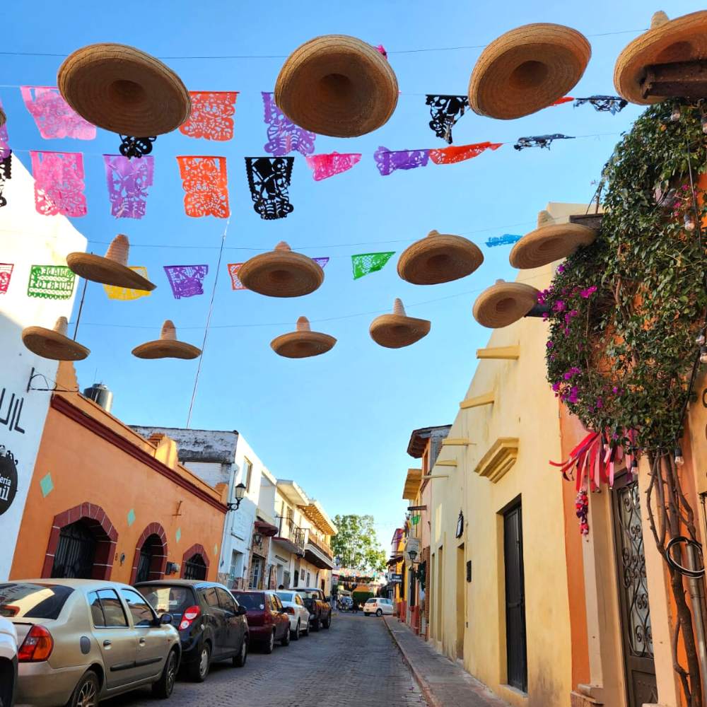 ¿Se te antoja la Ruta del vino y queso por Querétaro? Te decimos cómo irte desde CDMX