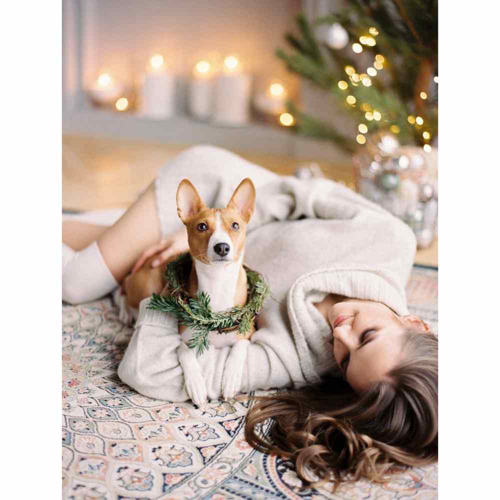 pose con tu perrito debajo del árbol