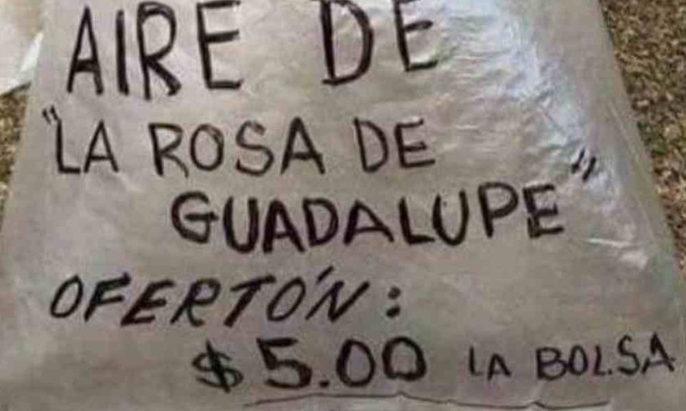 Aire de "La Rosa de Guadalupe"
