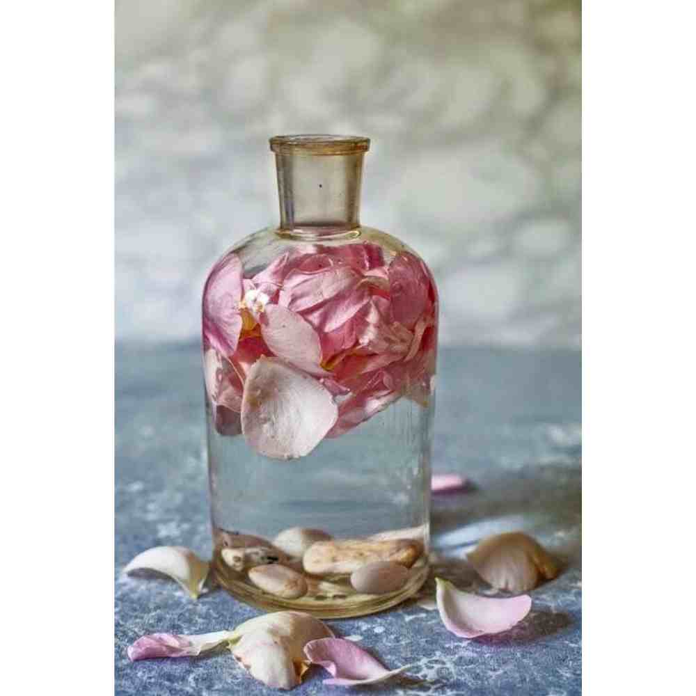 ritual con agua de rosas para conseguir pareja rituales con agua de rosas para conseguir pareja