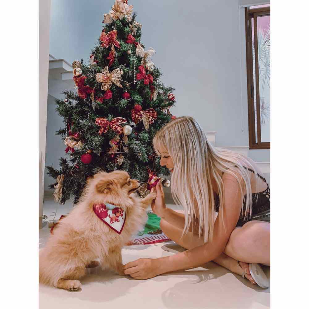 pose chocando la patita con tu perrito frente al árbol de Navidad