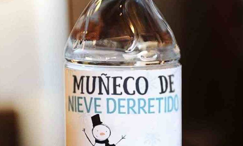 Muñeco de nieve derretido