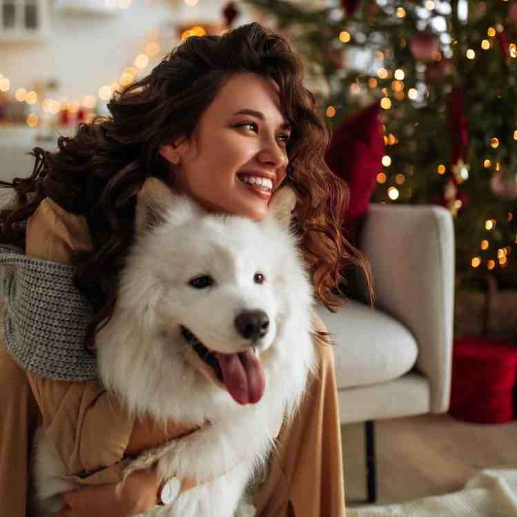 poses con tu perrito en el árbol de Navidad