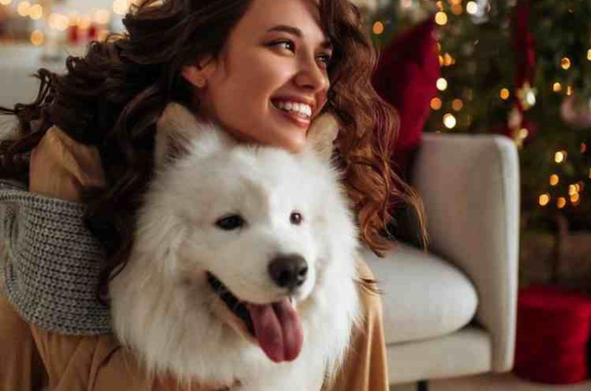 10 poses que debes hacer con tu perrito en el árbol de Navidad