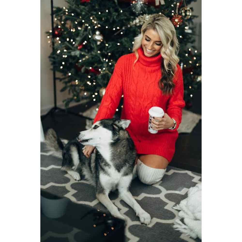 Pose con  tu perrito rascándole su pancita frente al árbol de navidad