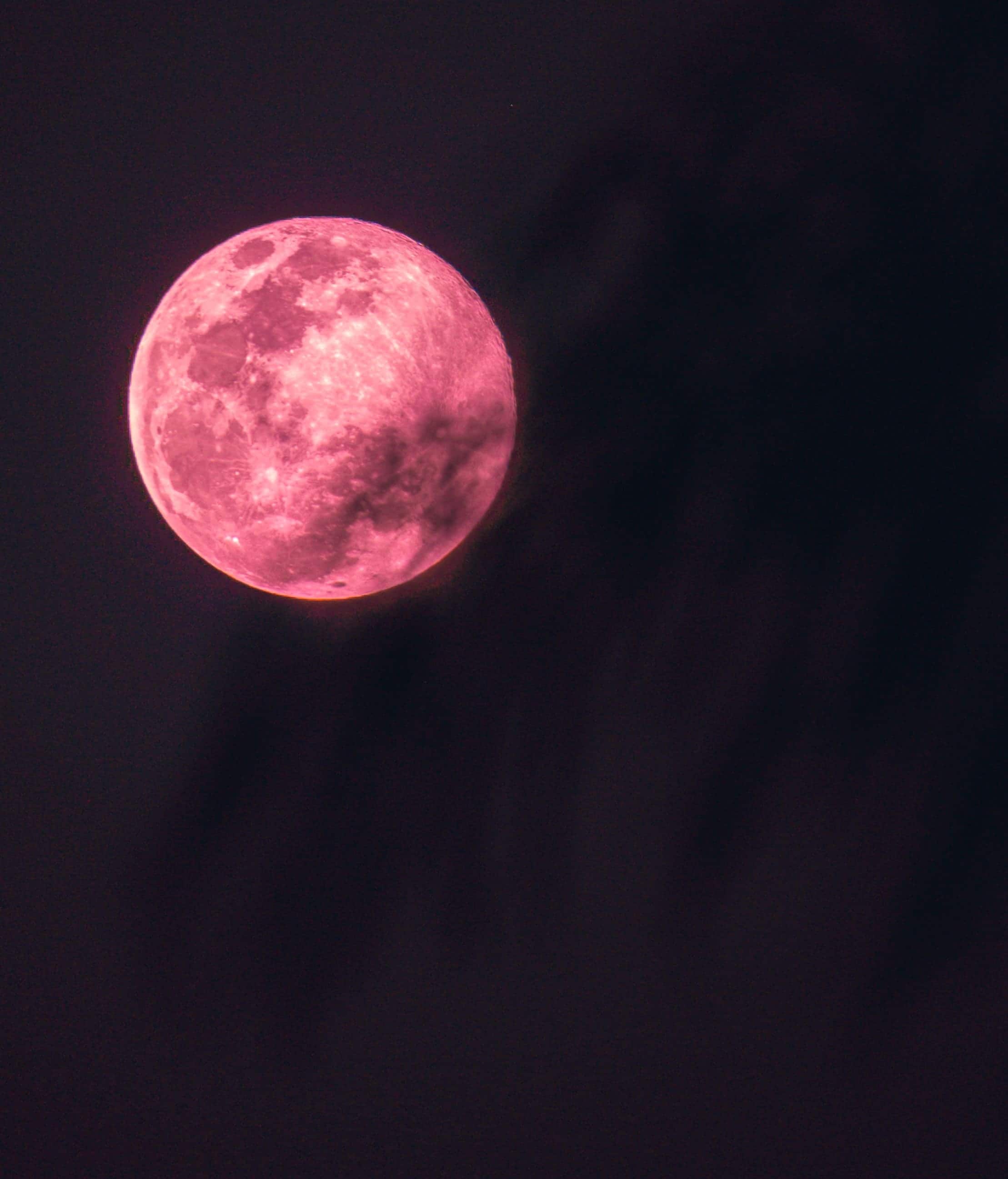luna llena rosa en primavera 