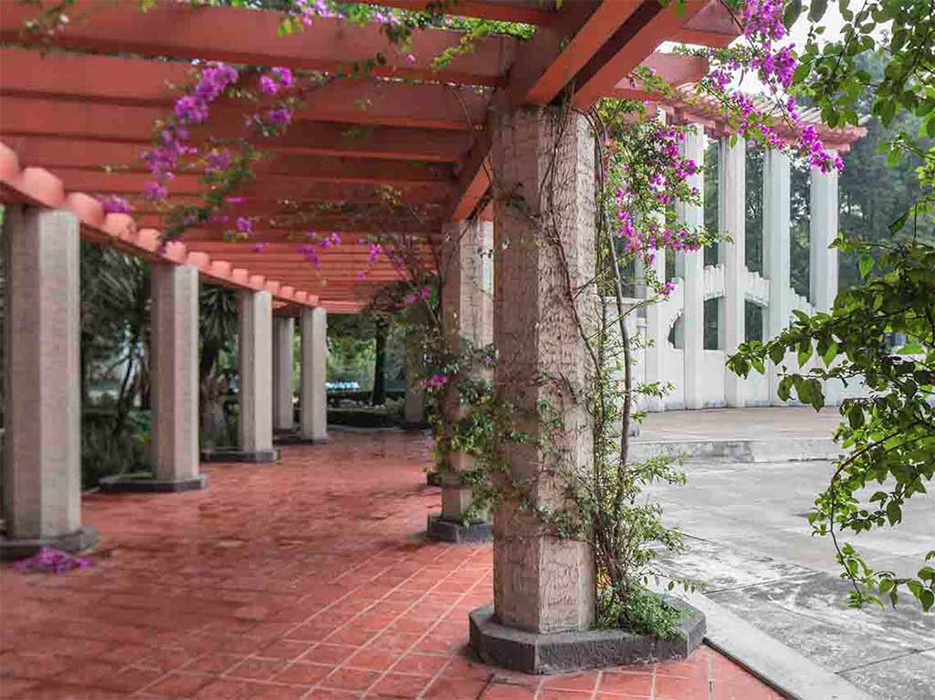 Top de lugares invisibles en CDMX que amaras visitar