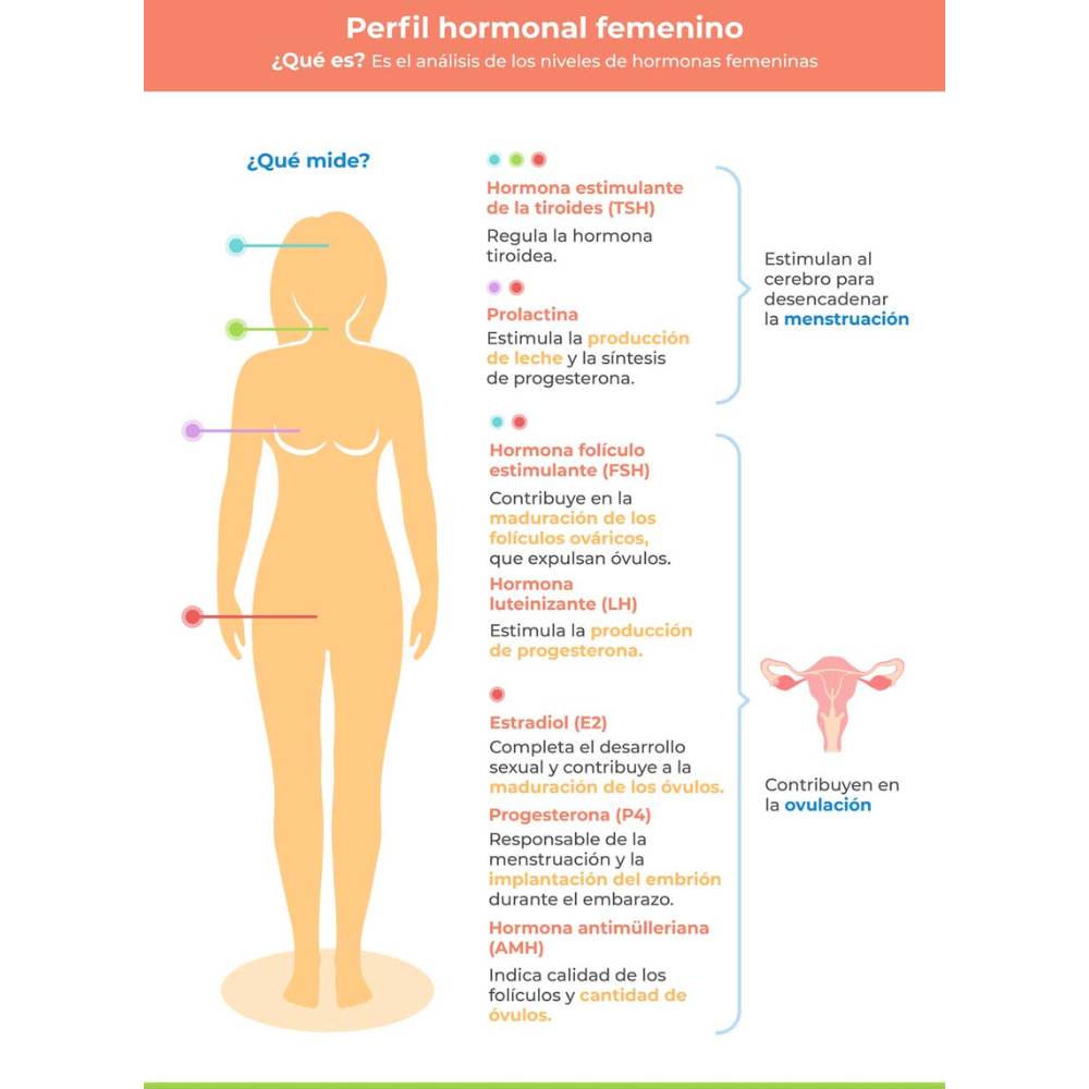 Perfil hormonal femenino: ¿por qué debería hacerme uno y cuánto cuesta? 0