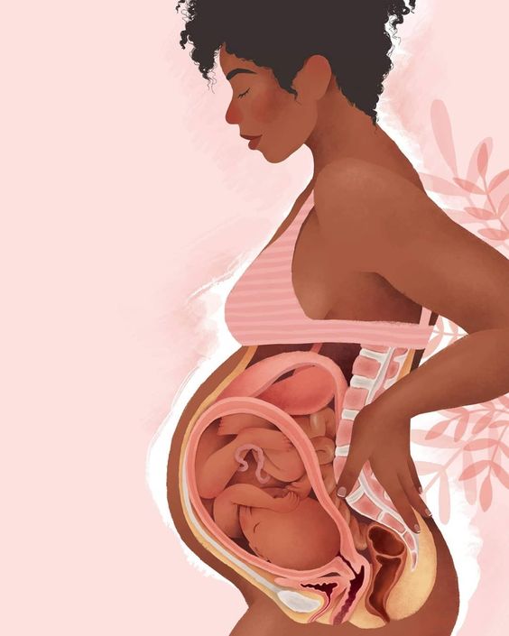 violencia obstretrica en contra de la mujer violencia obstetrica en contra de la mujer