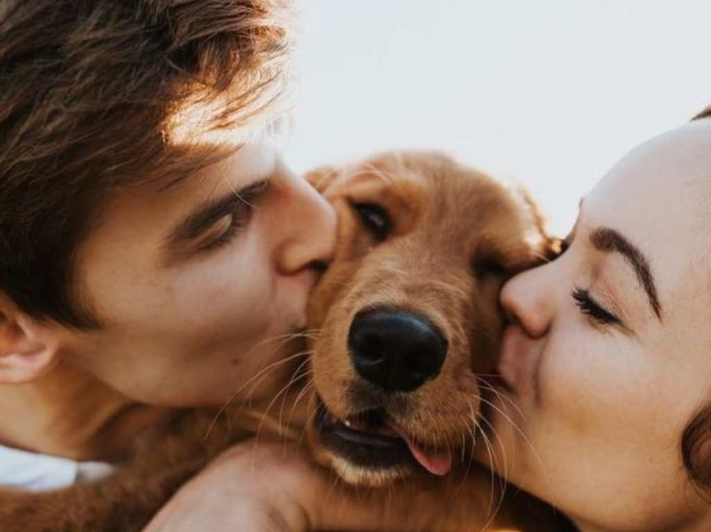 5 tips para ayudar a tu perro a superar a tu ex