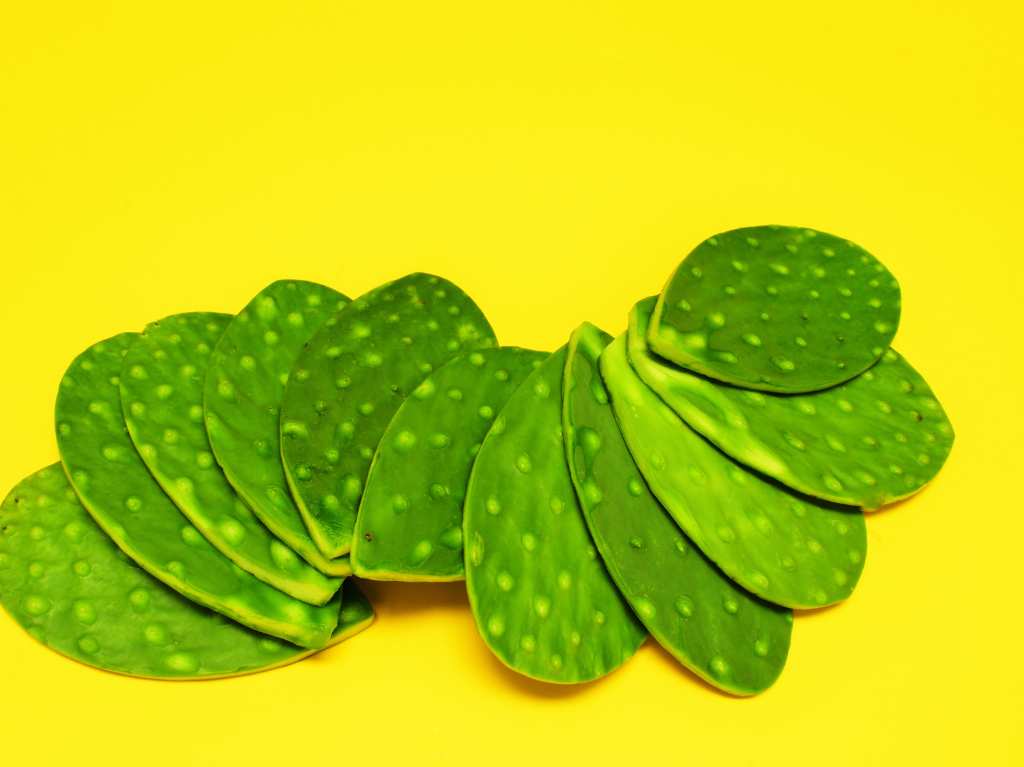 Tips para escoger y conservar por más tiempo los nopales