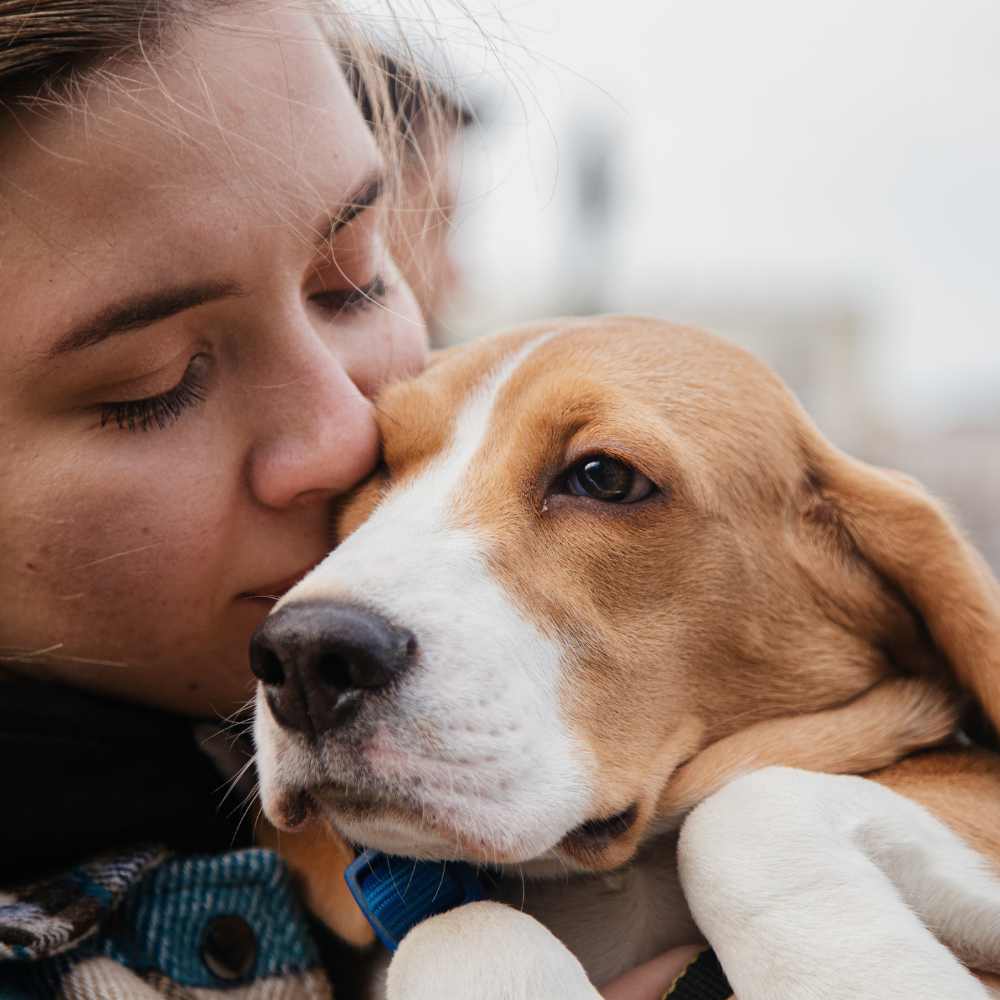 ¿Cómo tramitar el CURP para mascotas y para qué sirve? 1