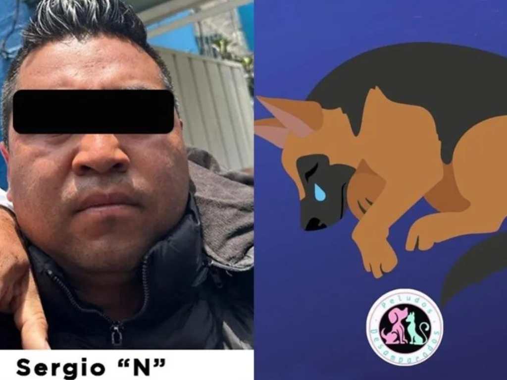 ¡Justicia para Benito! Detienen a hombre que arrojó a perrito en un cazo hirviendo