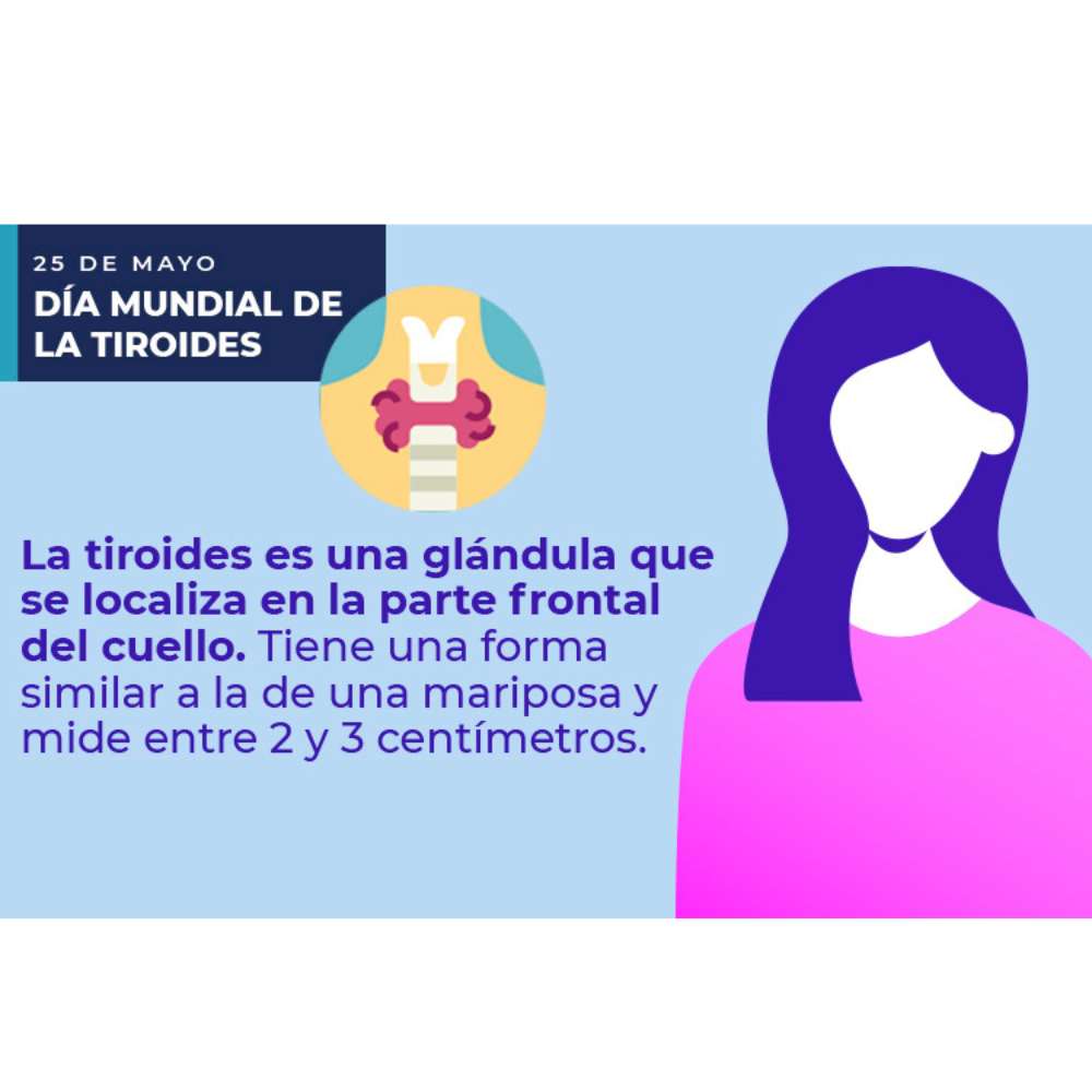 Enfermedades tiroideas en mujeres que afectan a la salud 5