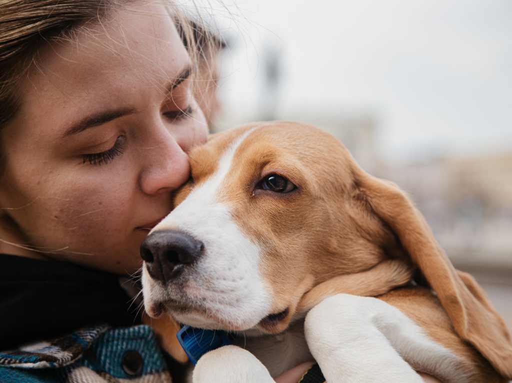 ¿Qué son las familias multiespecies, los famosos «perrhijos» y «gathijos»?