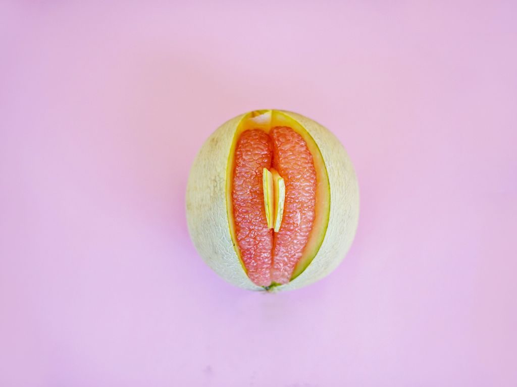 vulva