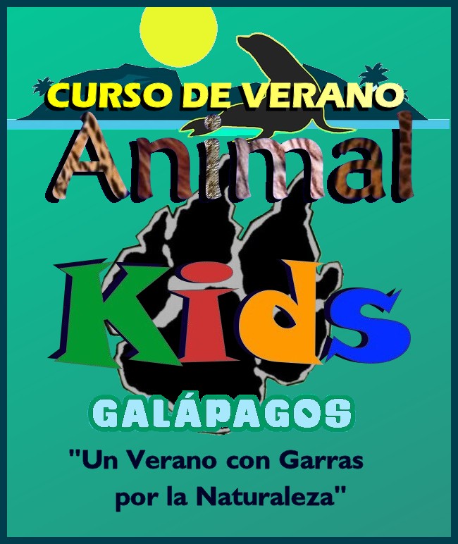 curso de verano animal kids galapagos