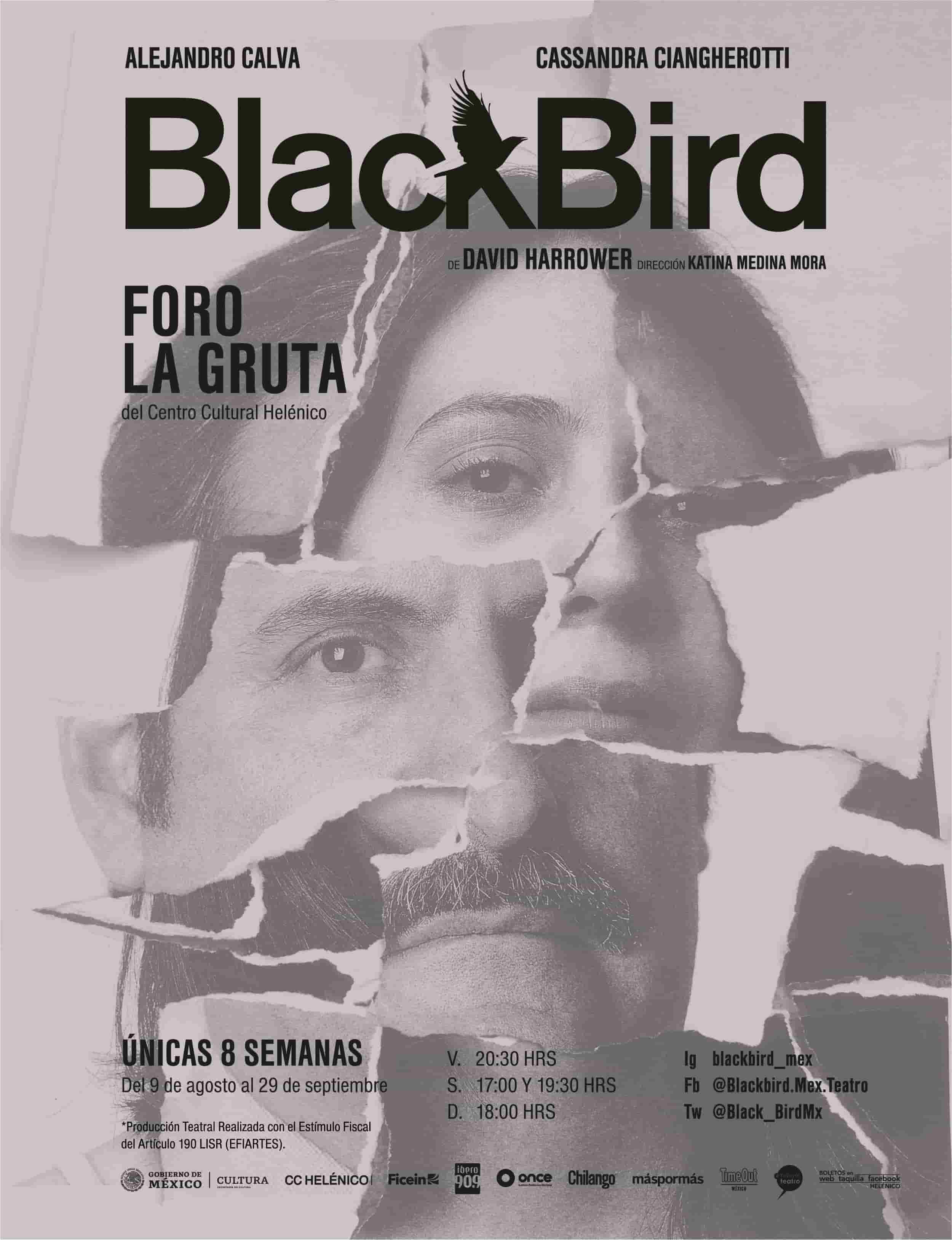 blackbird obra de teatro de katina medina