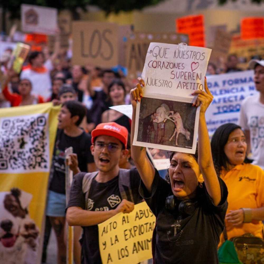 Marcha contra el maltrato animal en la CDMX: «¡Ni una patita menos!» 2