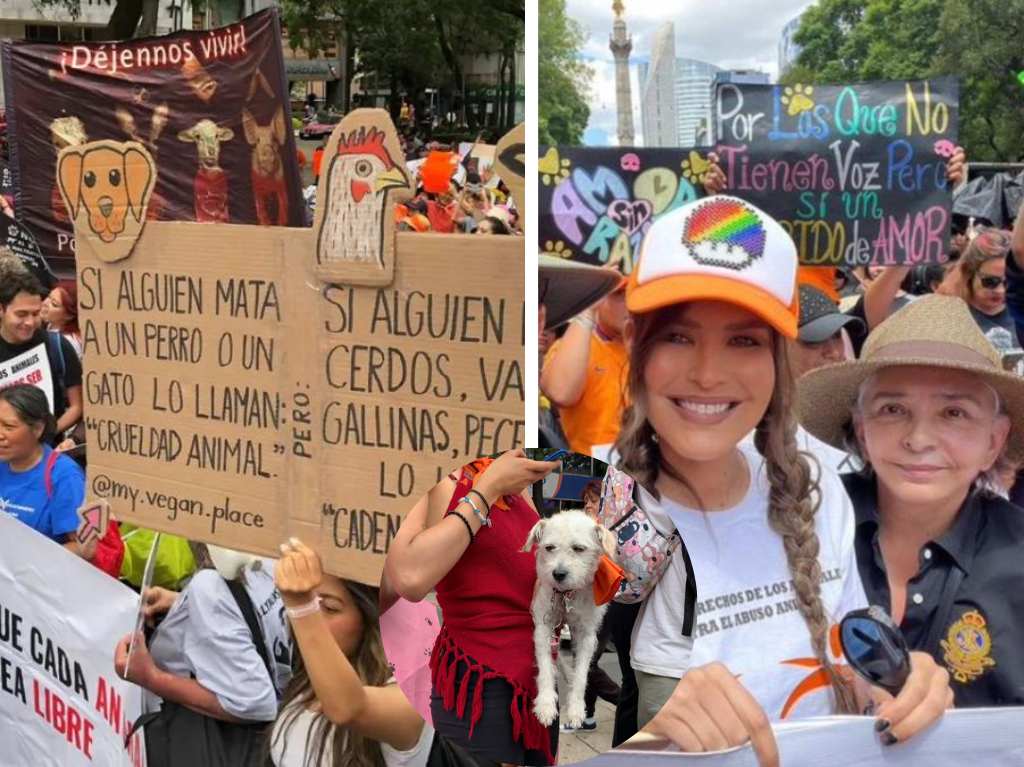 Marcha contra el maltrato animal en la CDMX: «¡Ni una patita menos!»