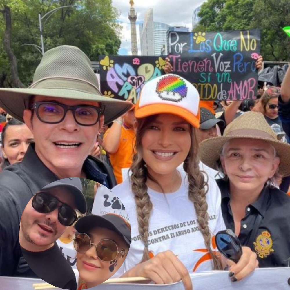 Marcha contra el maltrato animal en la CDMX: «¡Ni una patita menos!» 1